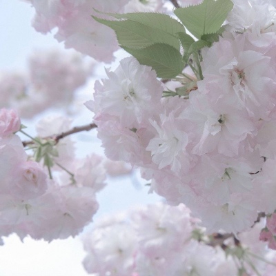 兽设原创设计欣赏兽圈群